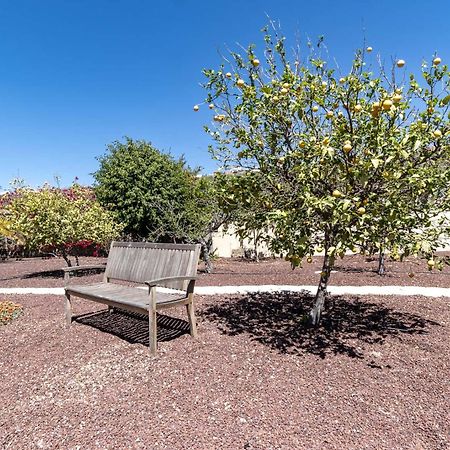 Casa Las Palmeras Granadilla De Abona Eksteriør billede