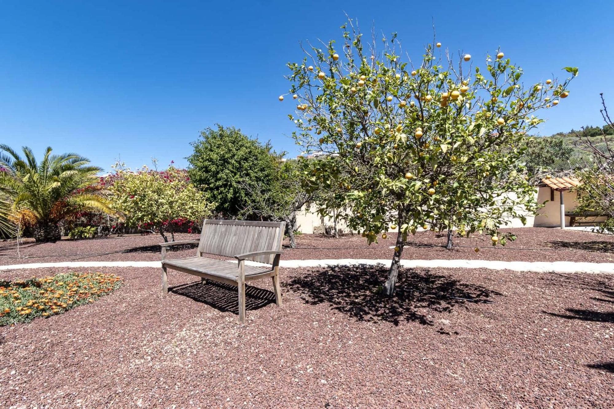 Casa Las Palmeras Granadilla De Abona Eksteriør billede