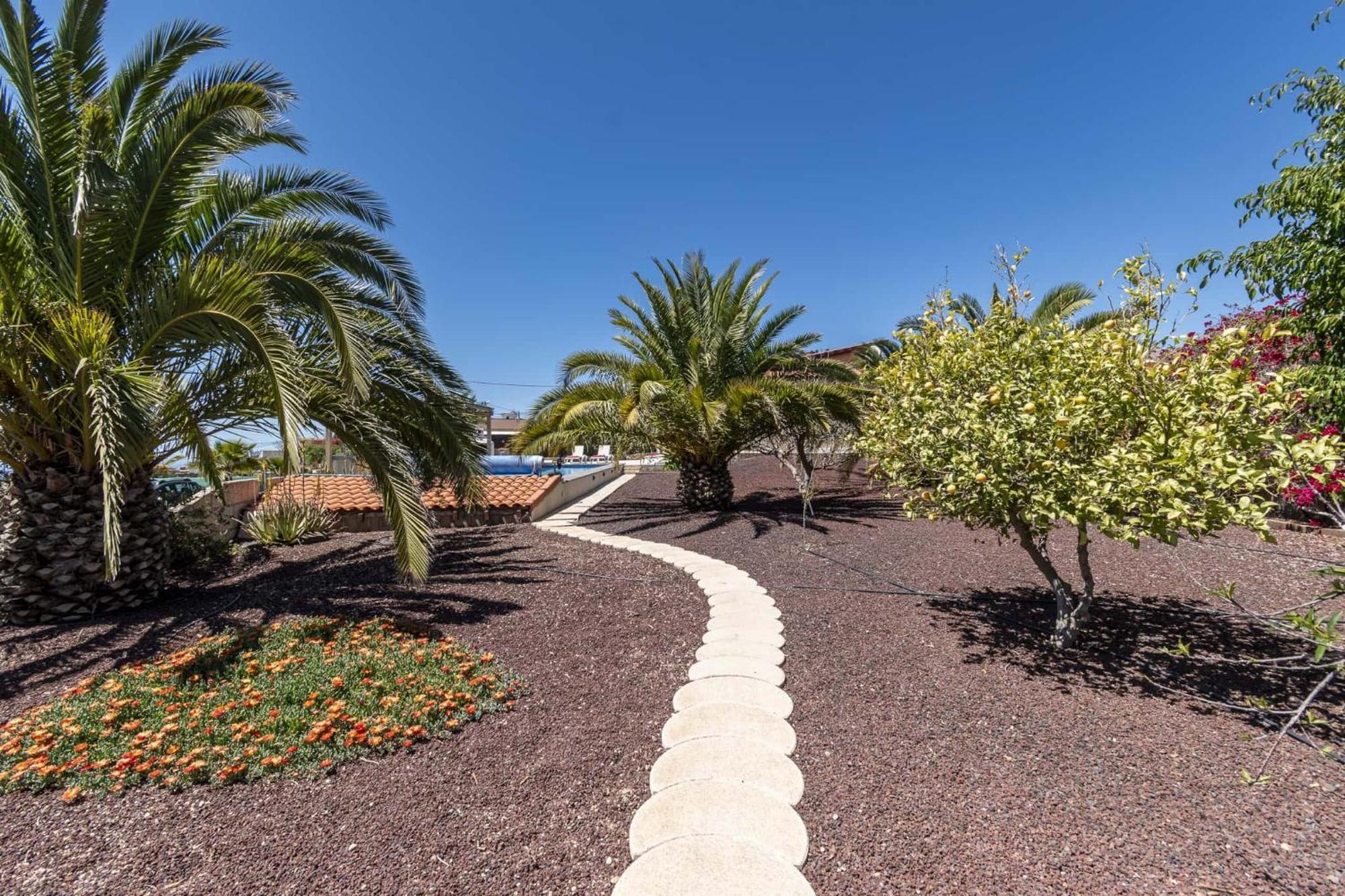 Casa Las Palmeras Granadilla De Abona Eksteriør billede